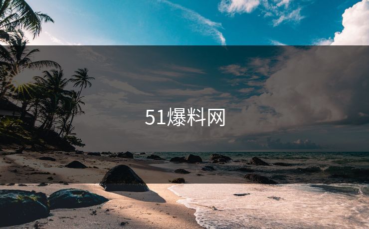 51爆料网